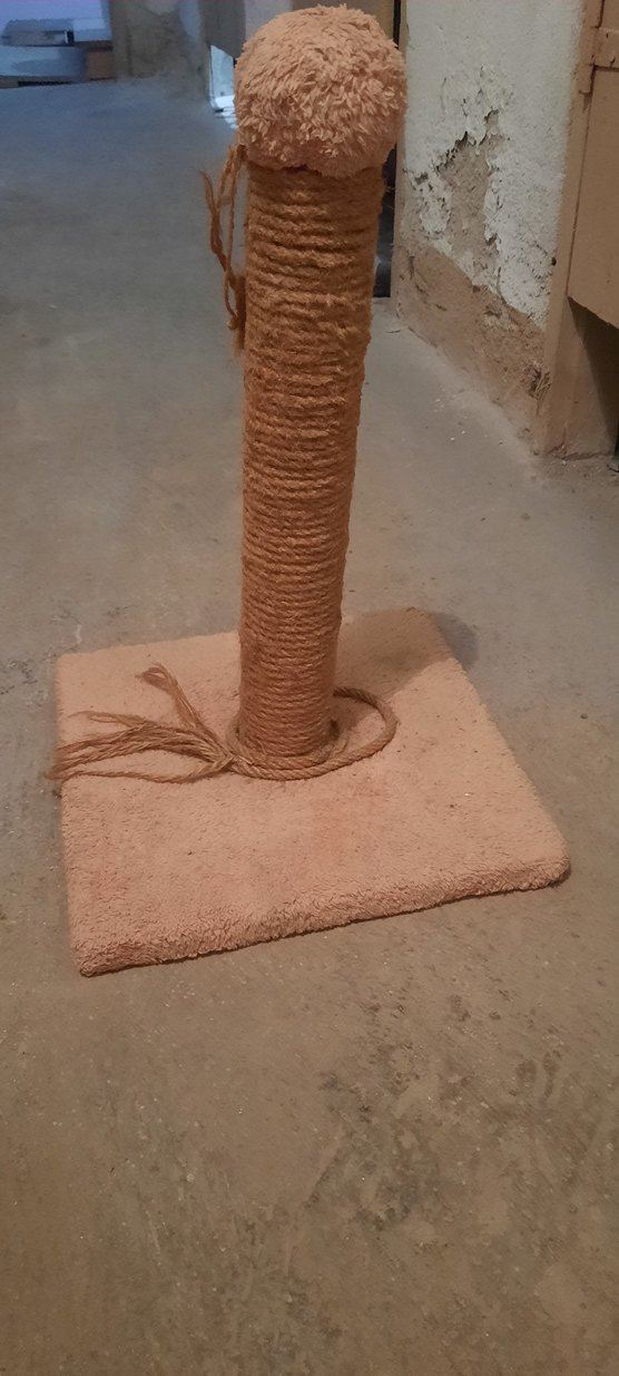 Bej Kedi Tırmalama Direği - Görsel 4