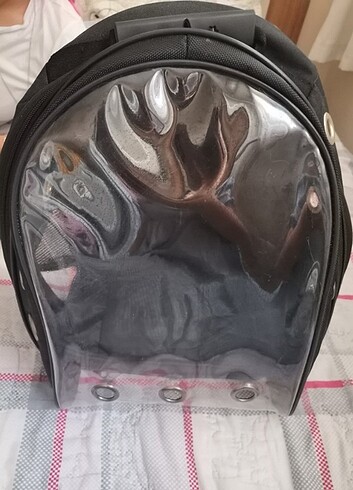 Kedi taşıma çantası 