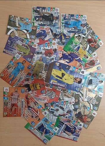 Panini invincible 