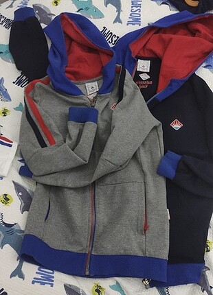 Bahçeşehir koleji sweat