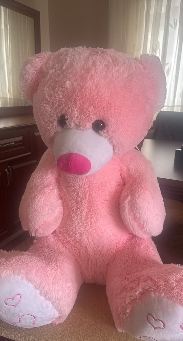 Pembe Peluş Oyuncak Ayı - Görsel 4