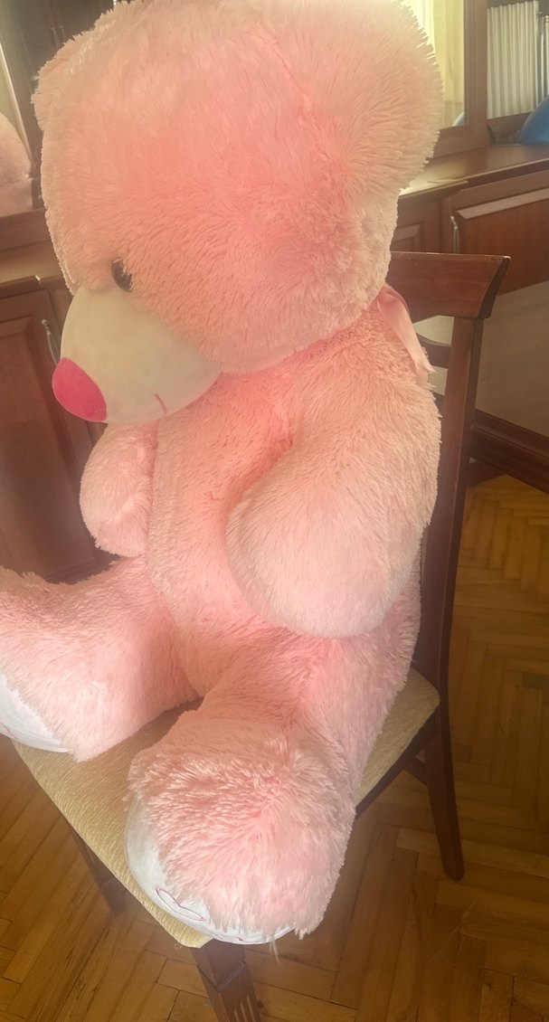 Pembe Peluş Oyuncak Ayı - Görsel 3