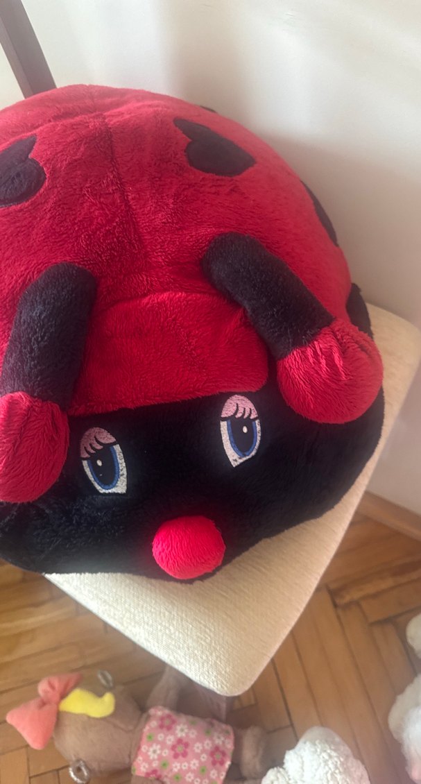 Kırmızı Uğur Böceği Peluş Oyuncak - Görsel 5