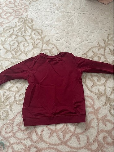 U.S Polo Assn. Uspa sport sweatshirt