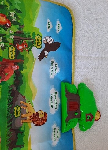 Oyun halisi 