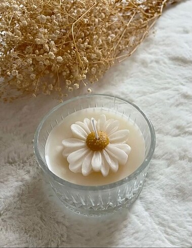 Papatyalı mum