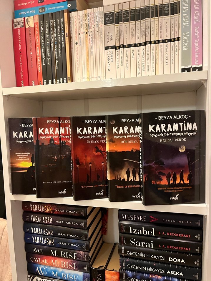 Beyza Alkoç - Karantina Roman Serisi - Görsel 2
