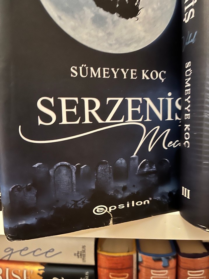 Serzeniş Roman Serisi - Sümeyye Koi - Görsel 2