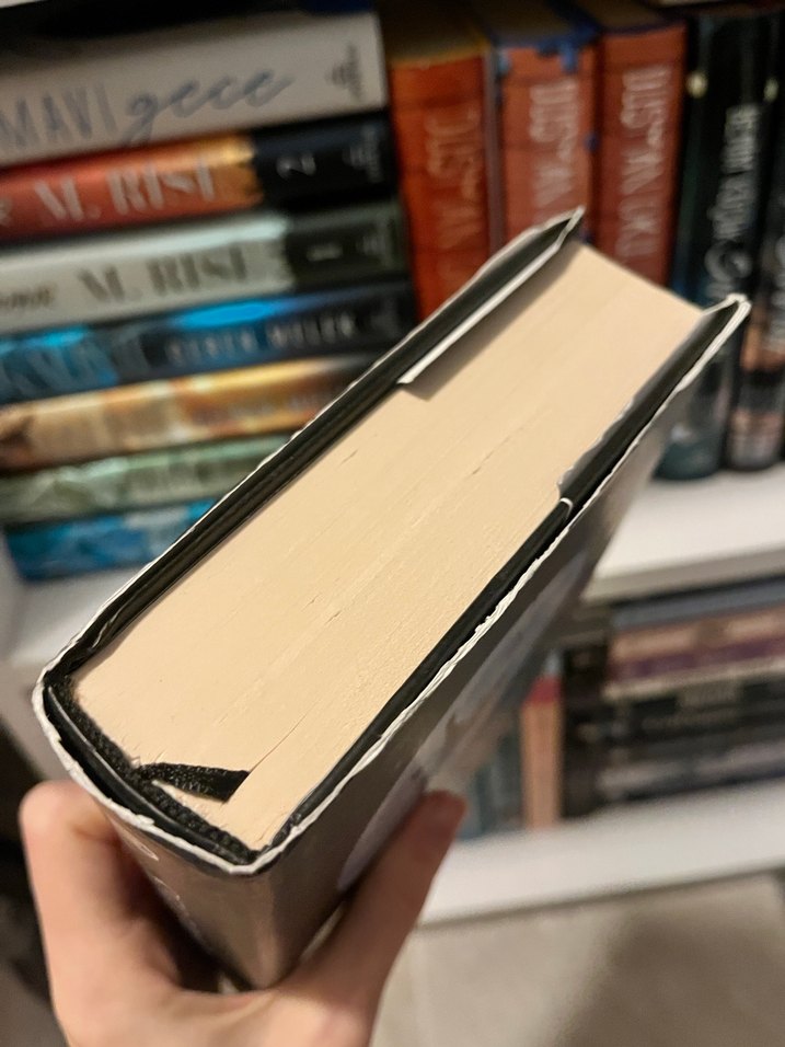 Serzeniş Roman Serisi - Sümeyye Koi - Görsel 3