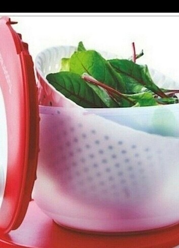 Tupperware salata kurutucu