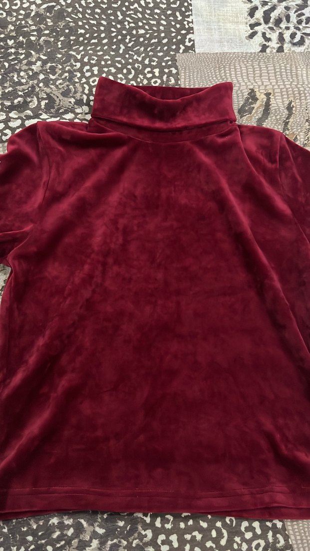 Bordo Yüksek Yaka Kadın Süet Kısa Kollu Tişört - Görsel 3