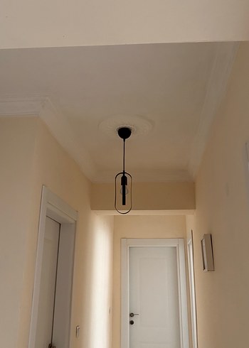 Modern Siyah Metal Tavan Lambası - Görsel 3