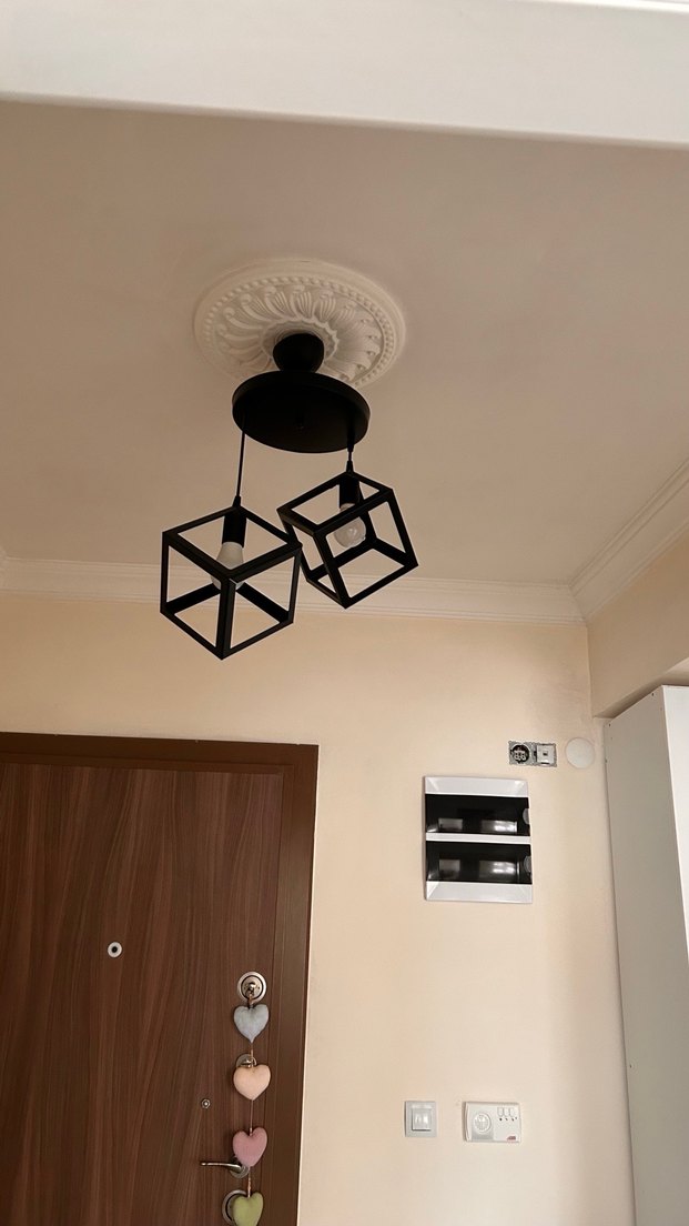 Modern Siyah Metal Tavan Lambası - Görsel 2