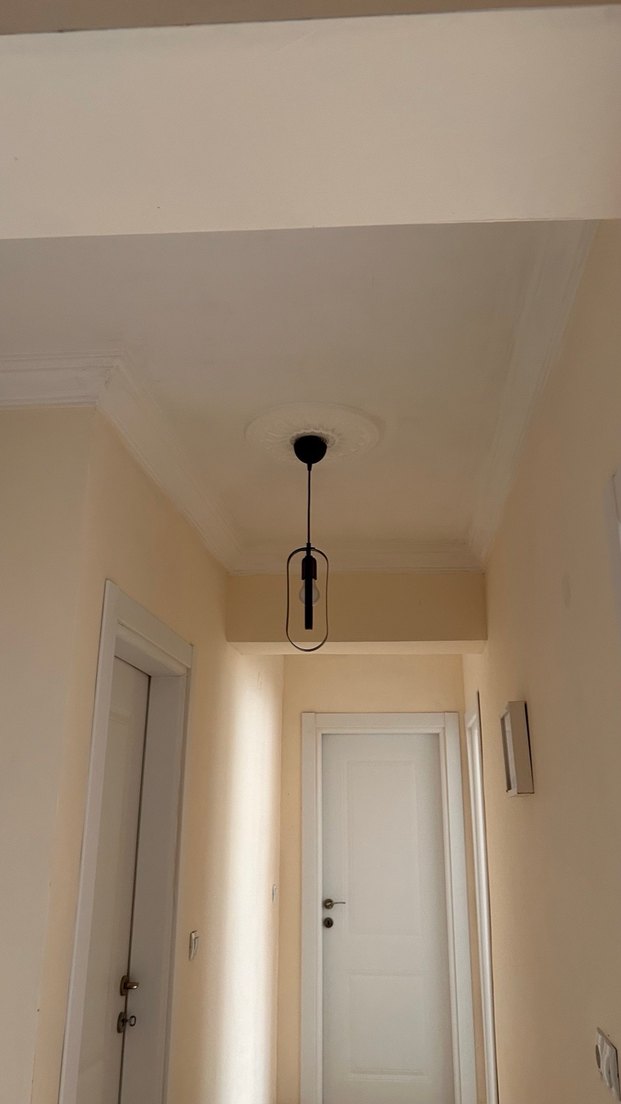 Modern Siyah Metal Tavan Lambası - Görsel 3