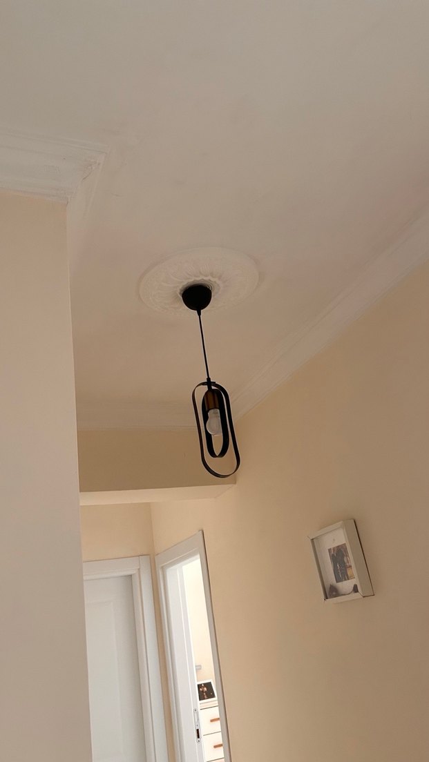 Modern Siyah Metal Tavan Lambası - Görsel 4