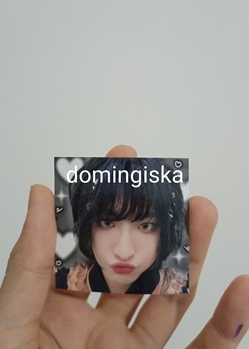 Domingiska Siyah Hafıza Kartı