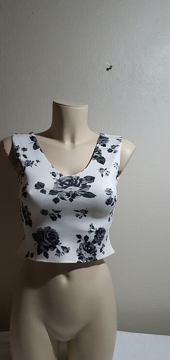 Gosh Bayan crop