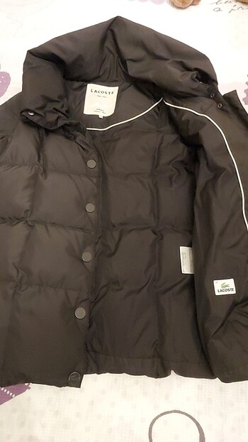 Lacoste Lacoste bayan mont