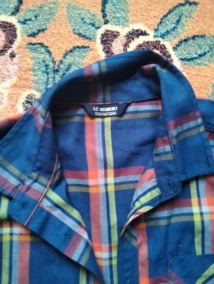 Düğmeli Çok Renkli Erkek Gömlek - Görsel 3