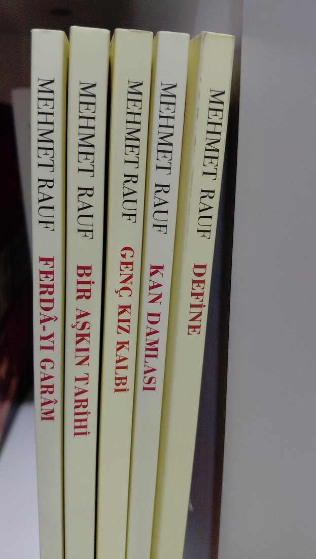 Mehmet Rauf kitapları - Görsel 2