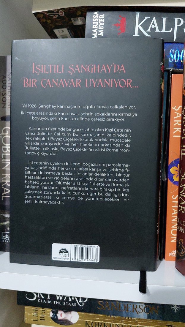 Şiddetli Hazlar & Şiddetli Sonlar - Chloe Gong - Görsel 3