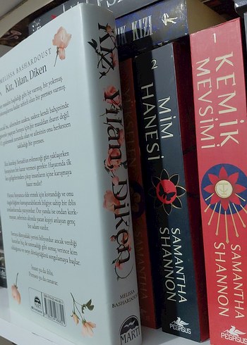 Kız, Yılan, Diken - Melissa Bashardoust - Görsel 3