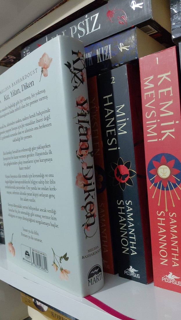 Kız, Yılan, Diken - Melissa Bashardoust - Görsel 3