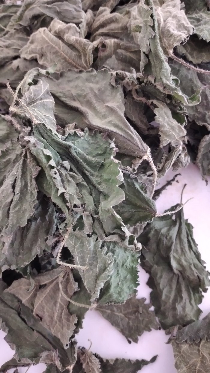 Kurutulmuş Isırganotu 50 grmDiger Kuru Bitkisel Merhem - Görsel 4