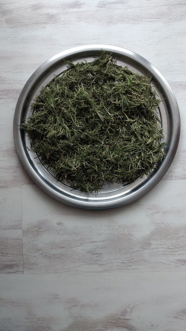 kuru biberiye otu - Görsel 2