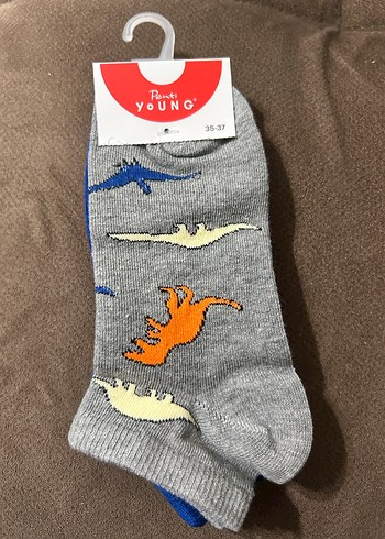 Çoklu Renkli erkek Çorabı - Görsel 2