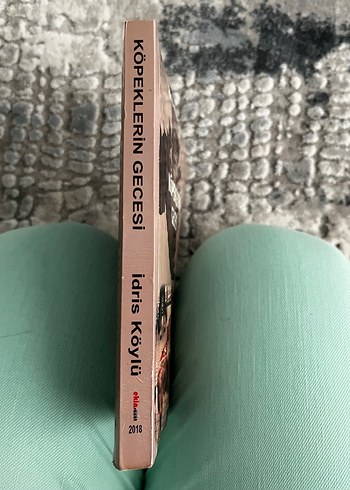 İdris Köylü-Köpeklerin Gecesi - Görsel 4