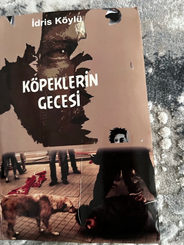 İdris Köylü-Köpeklerin Gecesi - Görsel 2
