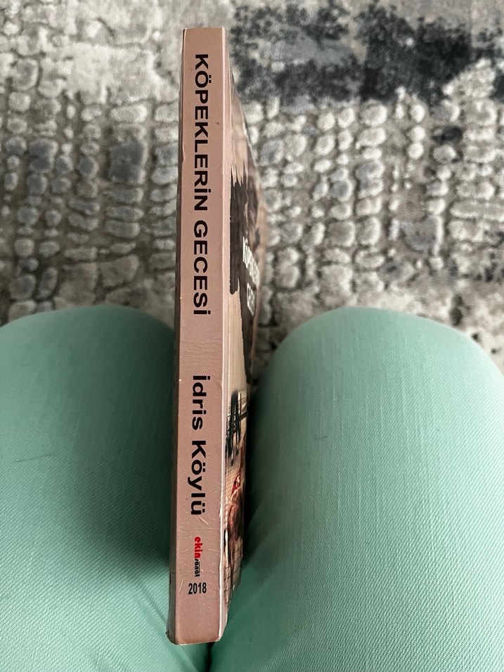 İdris Köylü-Köpeklerin Gecesi - Görsel 4