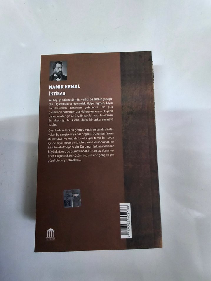 Namık Kemal İntibah Romanı - Görsel 2