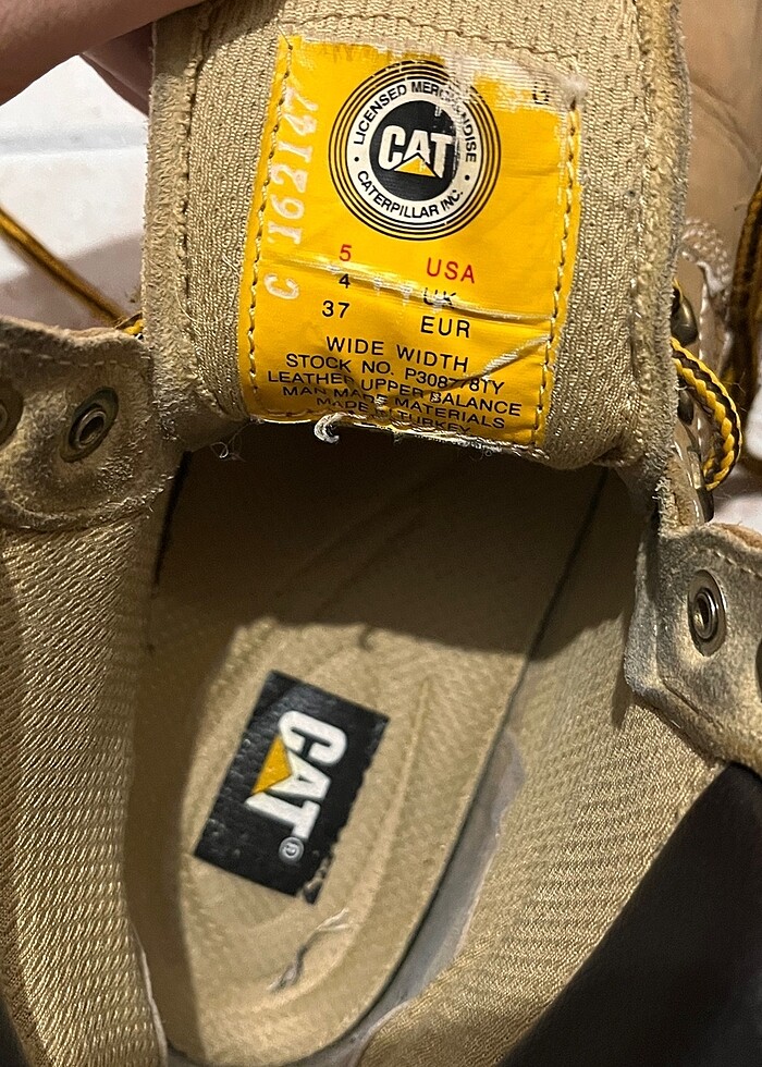 Cat Kadın Bot - Görsel 3