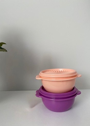 Pastel Mor ve Pembe Plastik Saklama Kapları