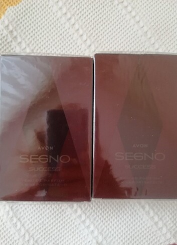 SEGNO SUCCESS