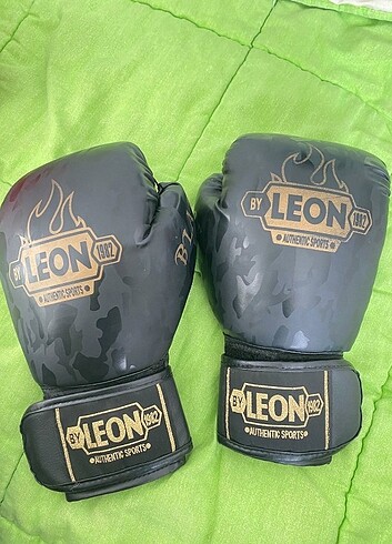 Leon Boks Eldiveni