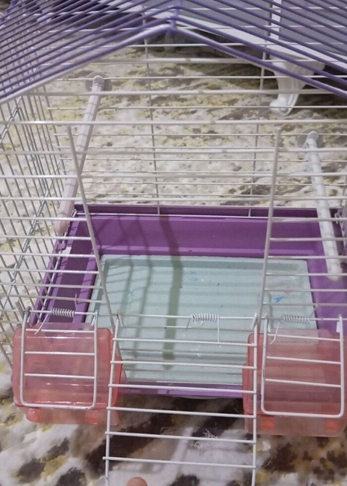 Sıfır tertemiz kafes  - Görsel 2