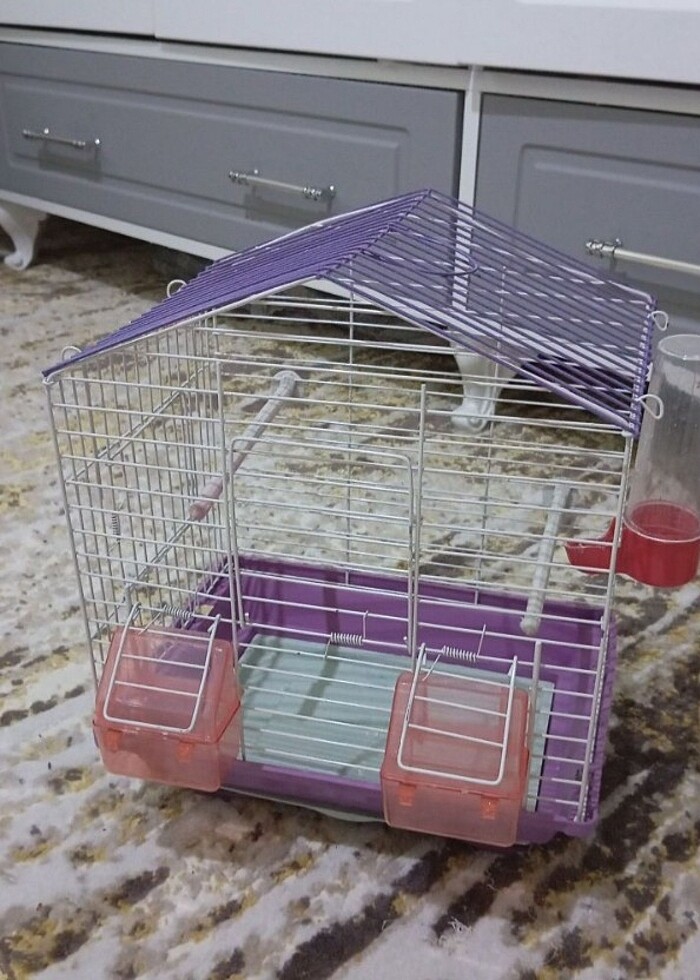 Sıfır tertemiz kafes  - Görsel 3