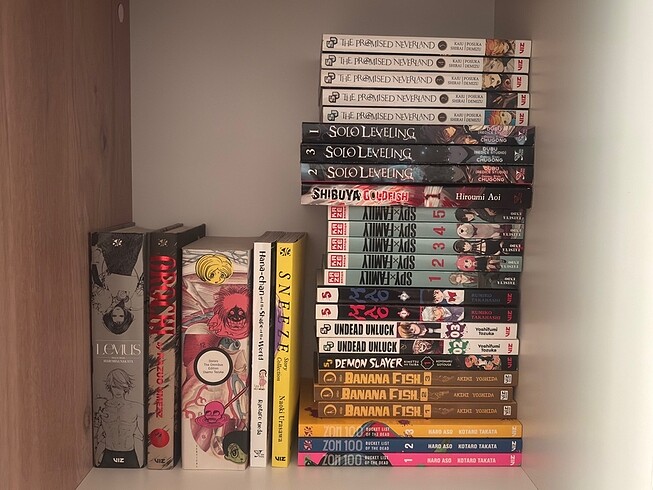 İngilizce almanca manga