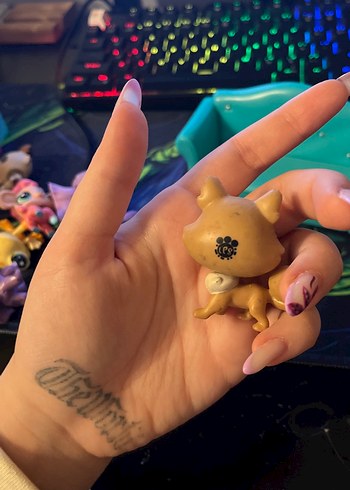 eski seri köpek miniş - Görsel 4