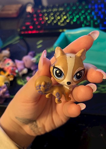 eski seri köpek miniş - Görsel 3