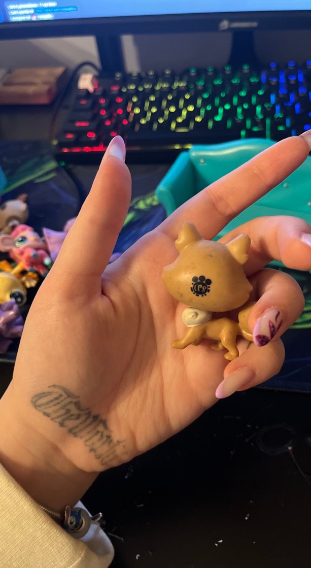 eski seri köpek miniş - Görsel 4