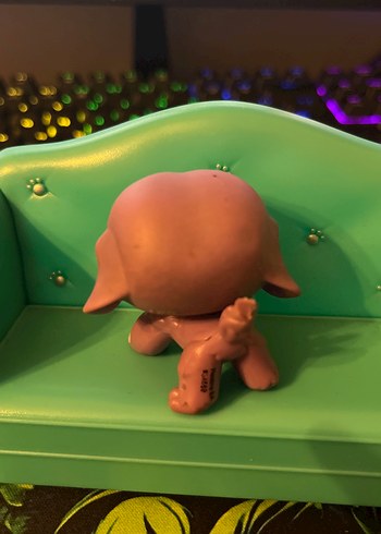 eski seri köpek miniş - Görsel 2