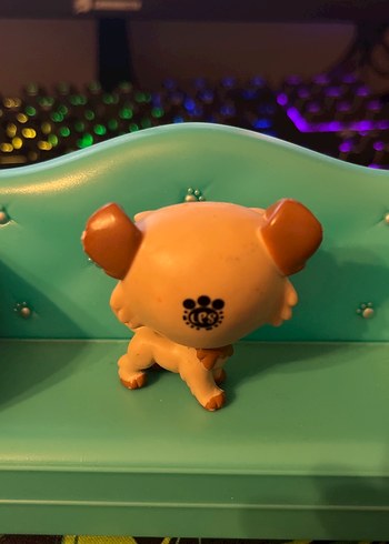 eski seri köpek miniş - Görsel 2