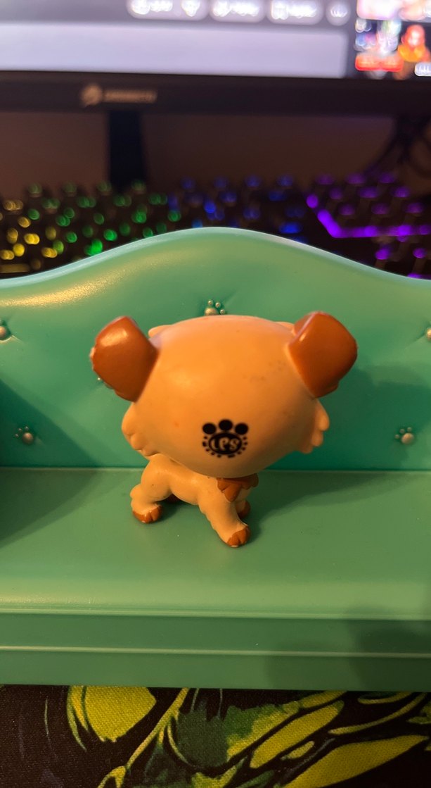 eski seri köpek miniş - Görsel 2