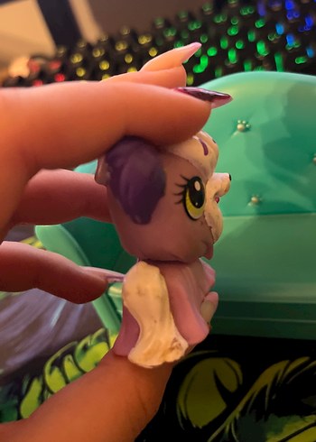 eski seri köpek miniş - Görsel 3