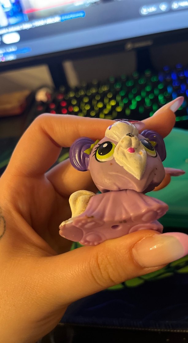 eski seri köpek miniş - Görsel 5