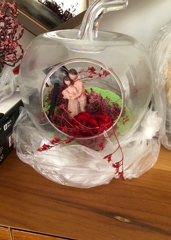 Beden Kuru Çiçekli Dekoratif terraryumlar
